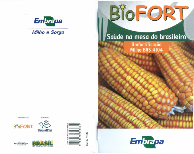 Biofortificação milho BRS 4104.